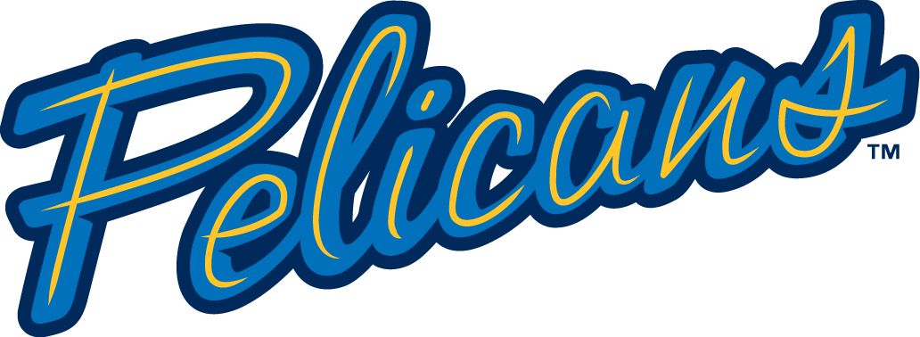 Myrtle Beach Pelicans 2007-Pres Jersey Logo v2 iron on transfers for T-shirts